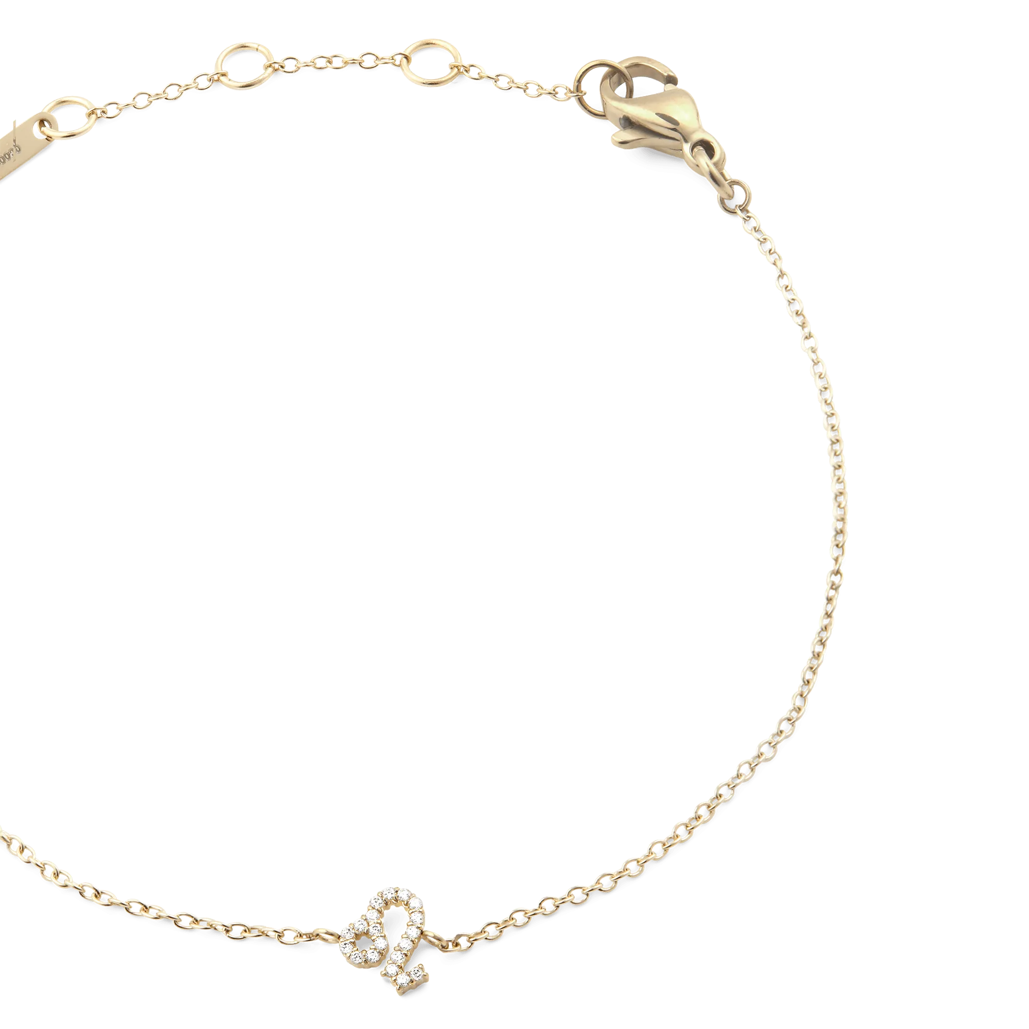 Crystal Zodiac Chain Bracelet Gold Daniel Wellington