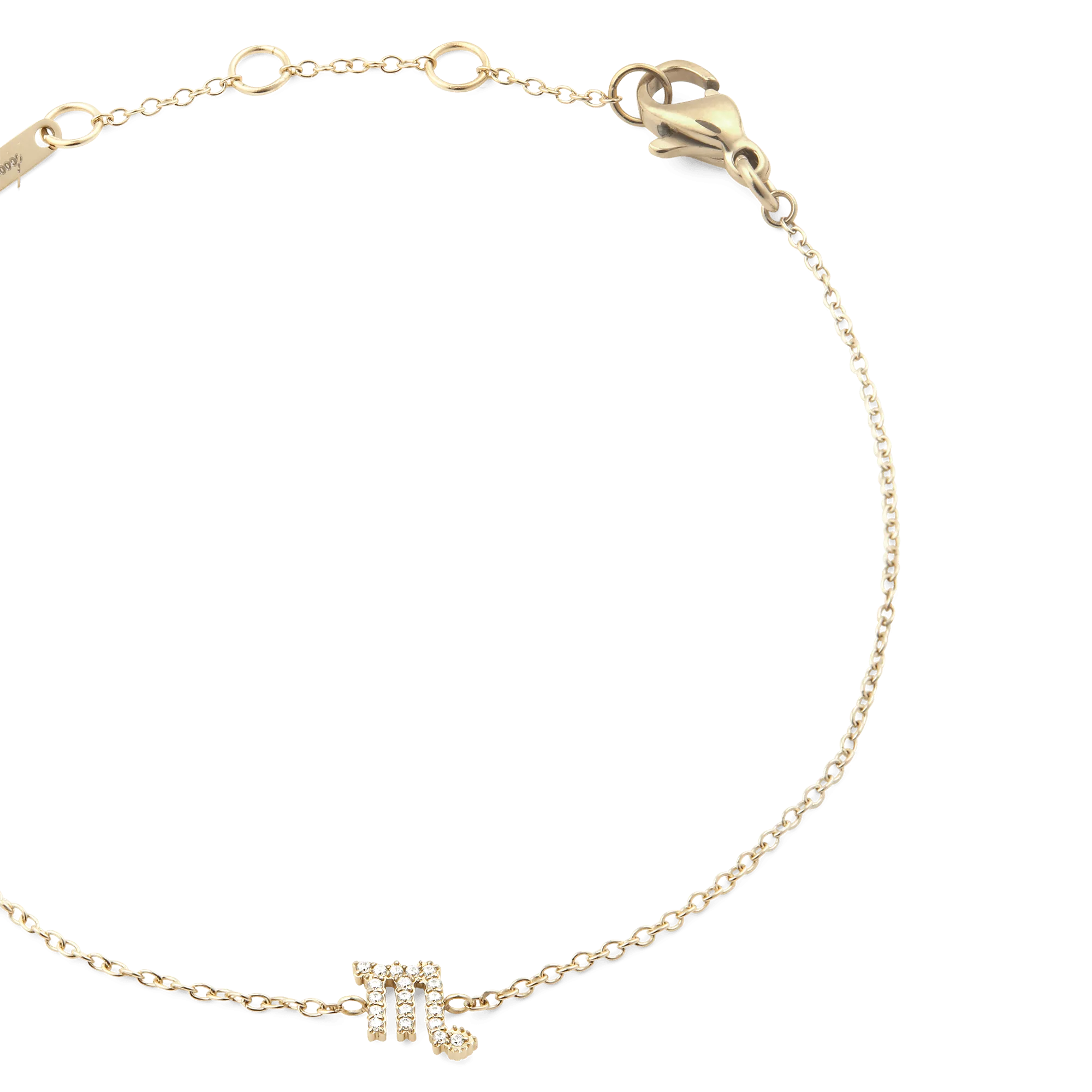Crystal Zodiac Chain Bracelet Gold Daniel Wellington