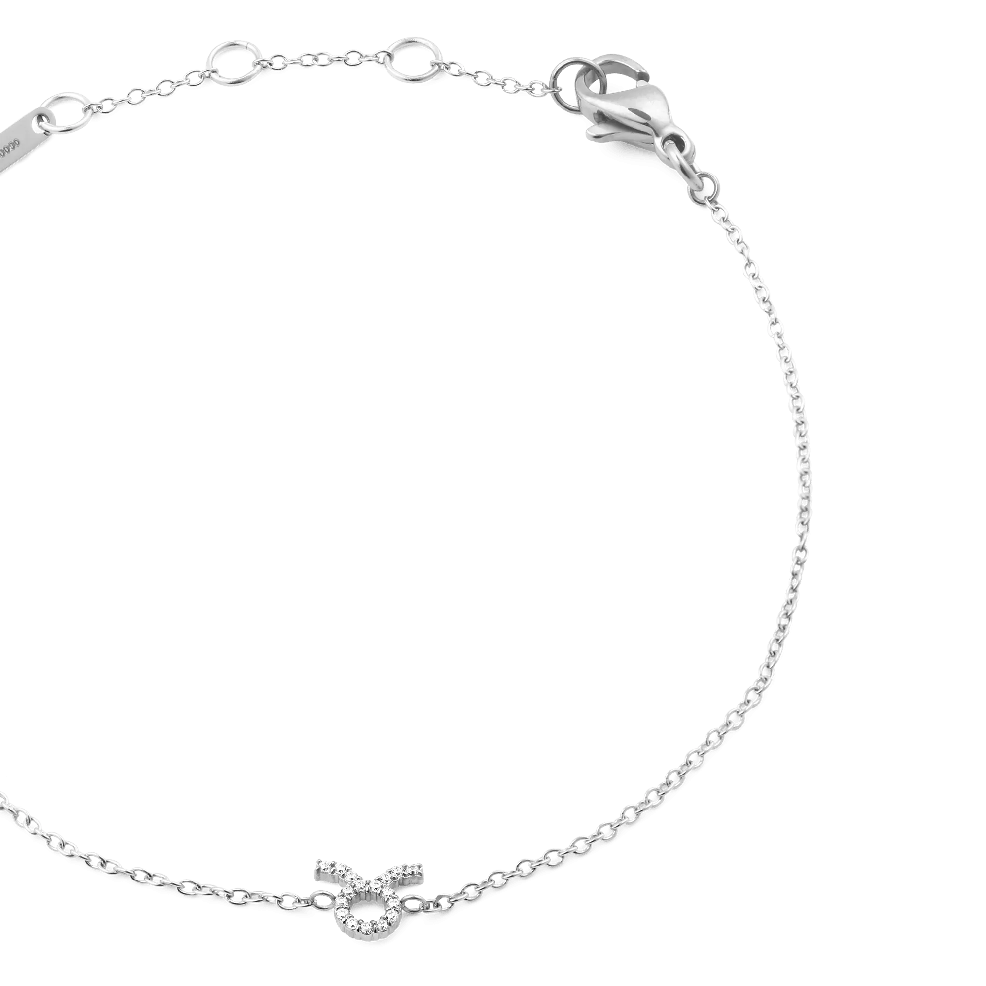 Crystal Zodiac Chain Bracelet Silver Daniel Wellington