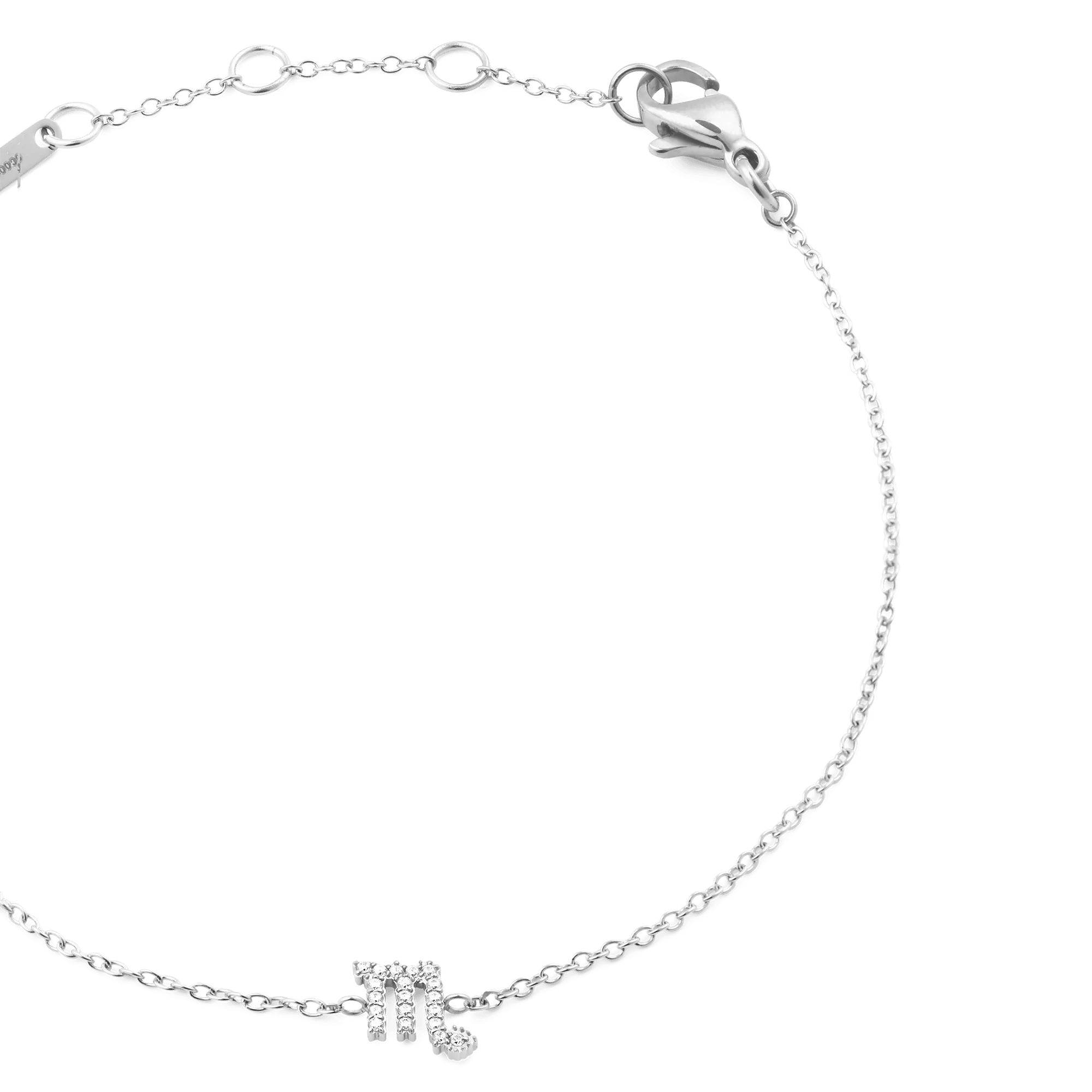 Crystal Zodiac Chain Bracelet Silver Daniel Wellington