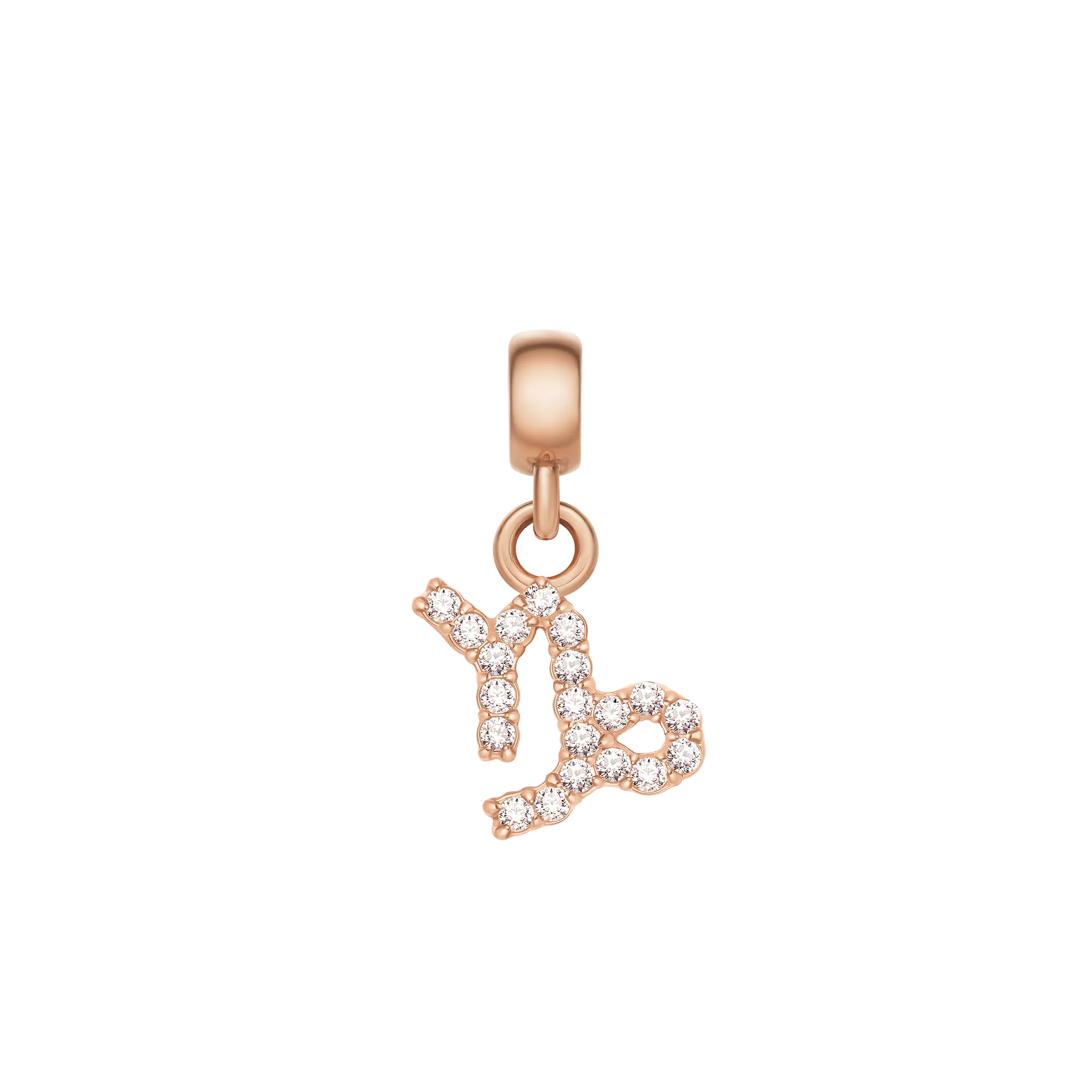Crystal Zodiac Charm Rose Gold Daniel Wellington