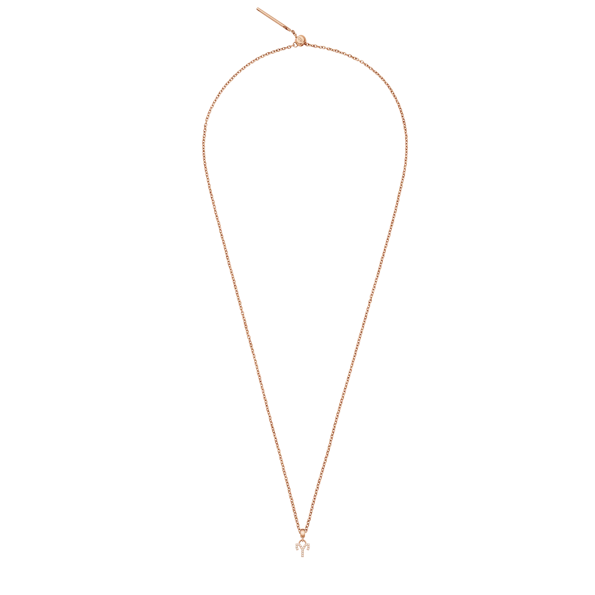Crystal Zodiac Charm Rose Gold Daniel Wellington