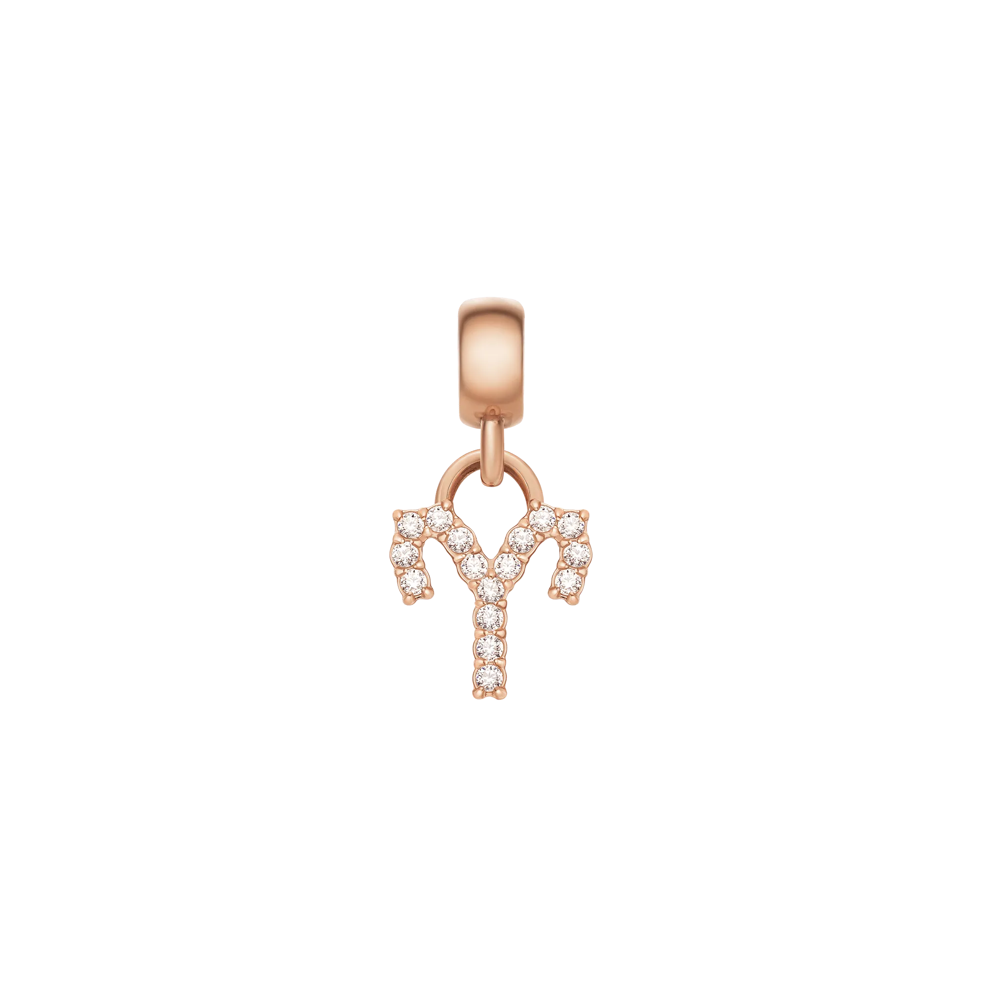 Crystal Zodiac Charm Rose Gold Daniel Wellington