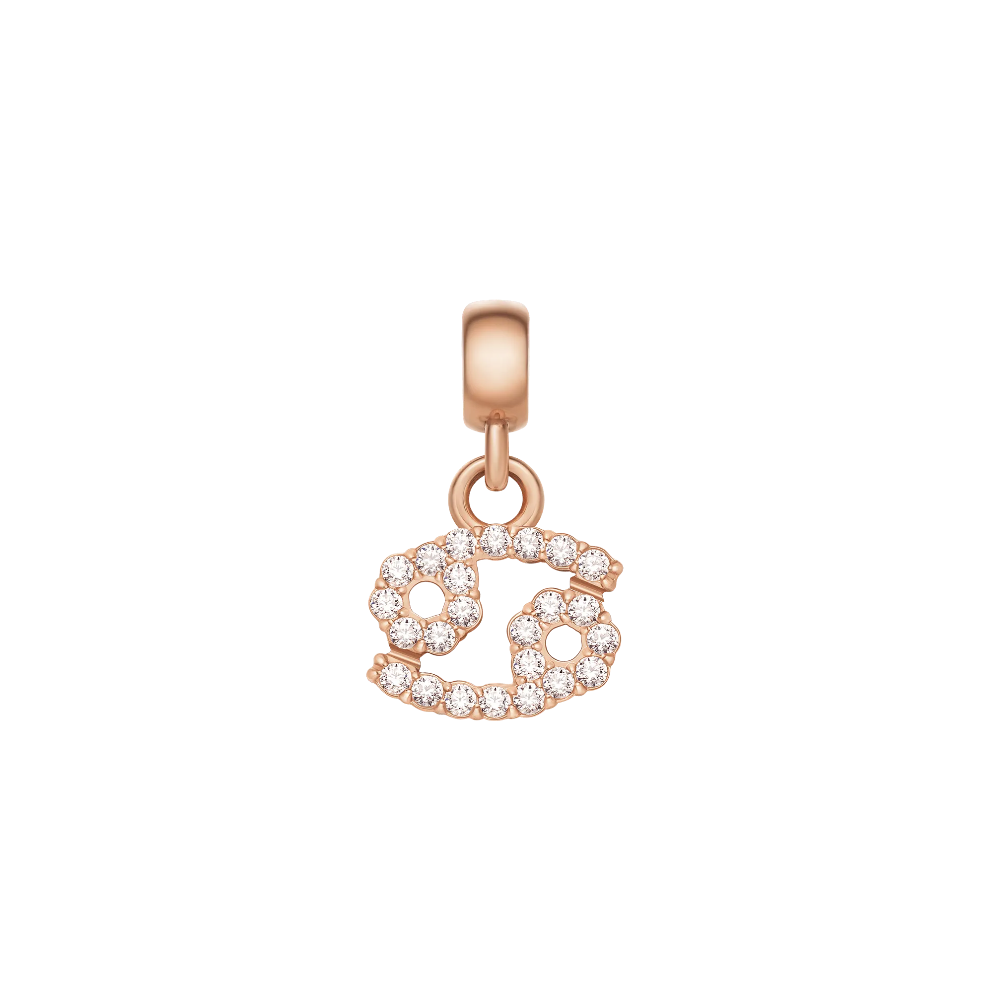 Crystal Zodiac Charm Rose Gold Daniel Wellington