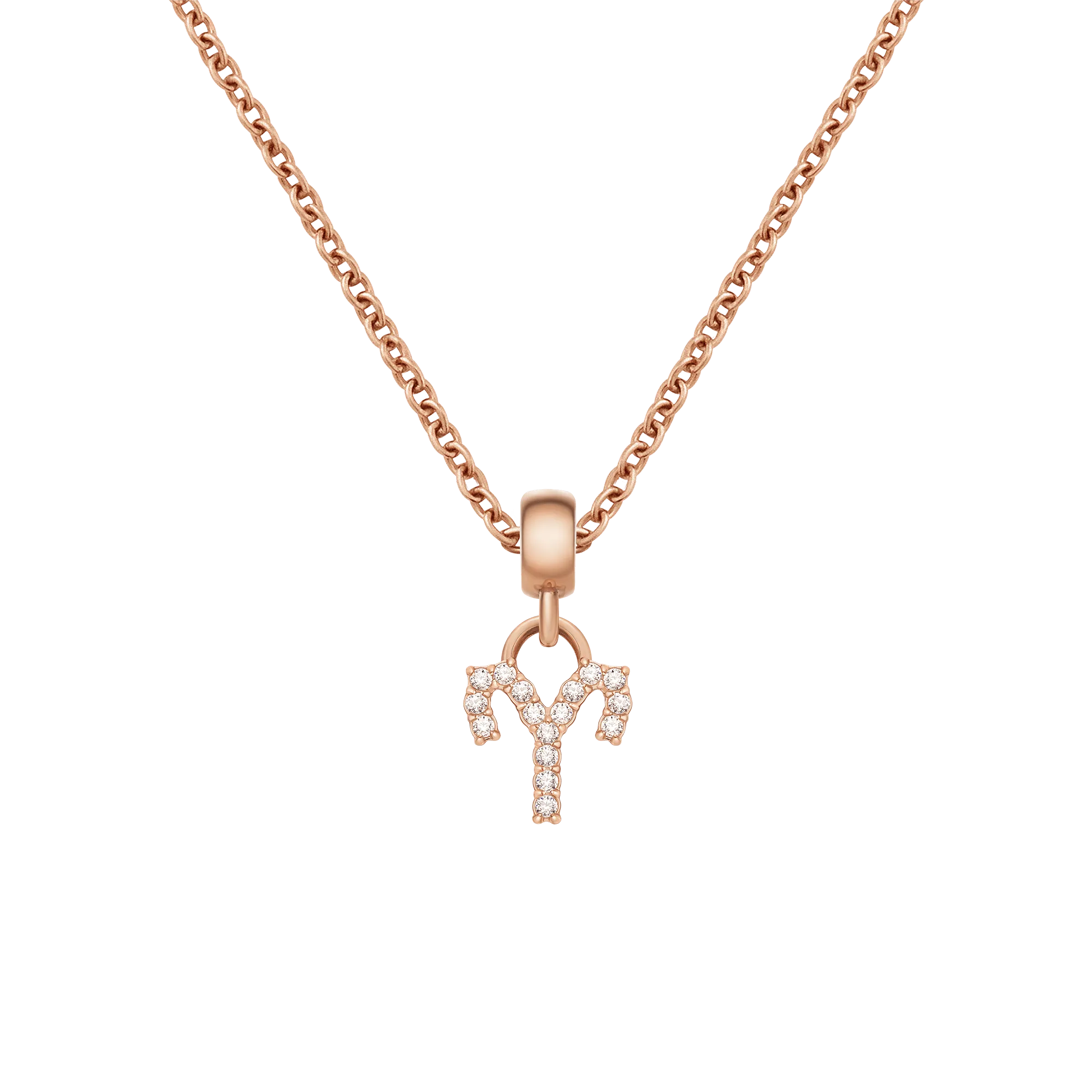 Crystal Zodiac Charm Rose Gold Daniel Wellington