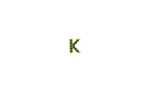 IX K 22K Gold Plated Stud w. Zirconia