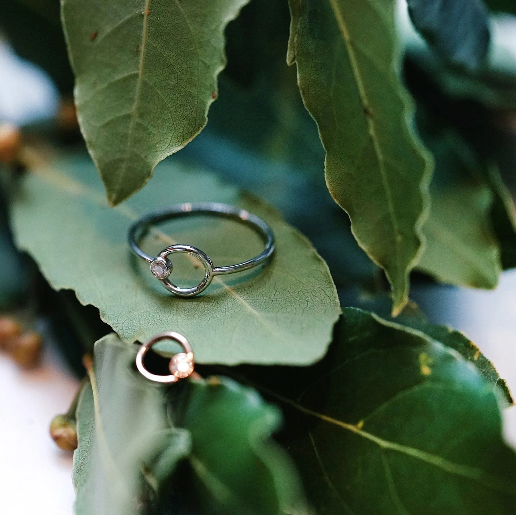 The Circle - 18K Gold / 48