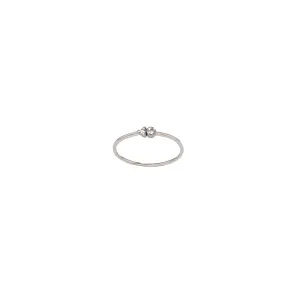 The Controversial - 18K Whitegold / 48